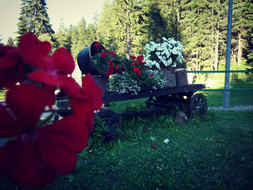 Baita Velon Vermiglio Bagian luar foto