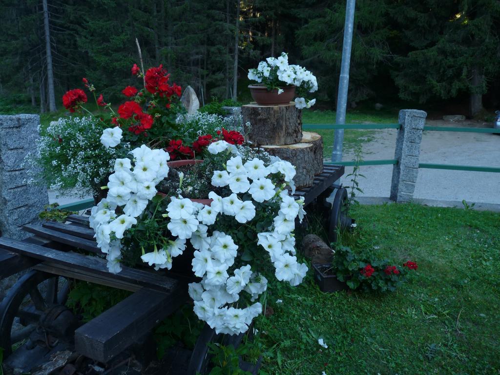 Baita Velon Vermiglio Bagian luar foto